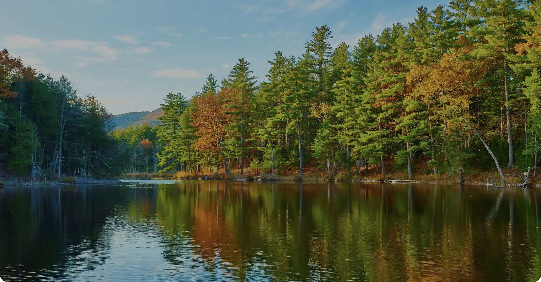 A serene lake scene with trees reflecting on its surface under a clear sky during sunset.